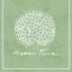 Nobilis Tilia