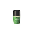 Urtekram deodorant roll on krémový Citronová tráva 50 ml