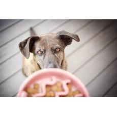 Calidu Keramická protihltací miska Rose 1 ks