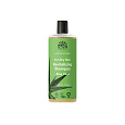 Urtekram šampon Aloe vera suché vlasy 500 ml