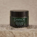 Cannor Čistící balzám CBD a Blue Tansy 50 ml expirace 5/25