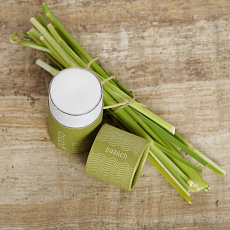 Ponio Tuhý deodorant Tea tree a citrónová tráva 50 ml