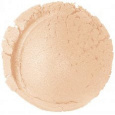 EVERYDAY MINERALS VZOREČEK Minerální rozjasňovač Polished All Over Shimmer 0,14 g