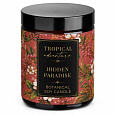 Soaphoria Botanická sójová svíčka Hidden Paradise 210 ml