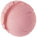 EVERYDAY MINERALS Vvzoreček Minerální tvářenka Tea Rose 0,14 g